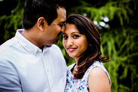 Shree & Vijay Engagement